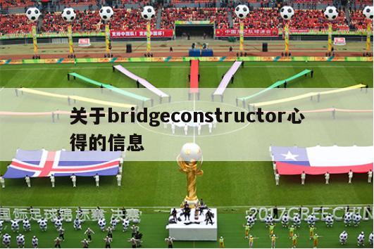 关于bridgeconstructor心得的信息